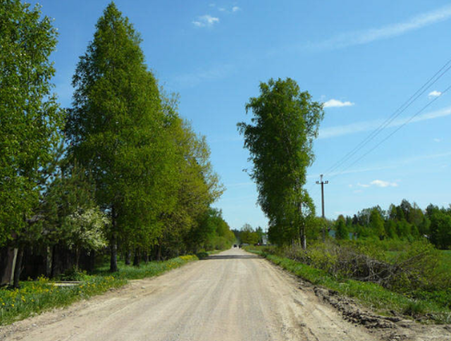 Юрки