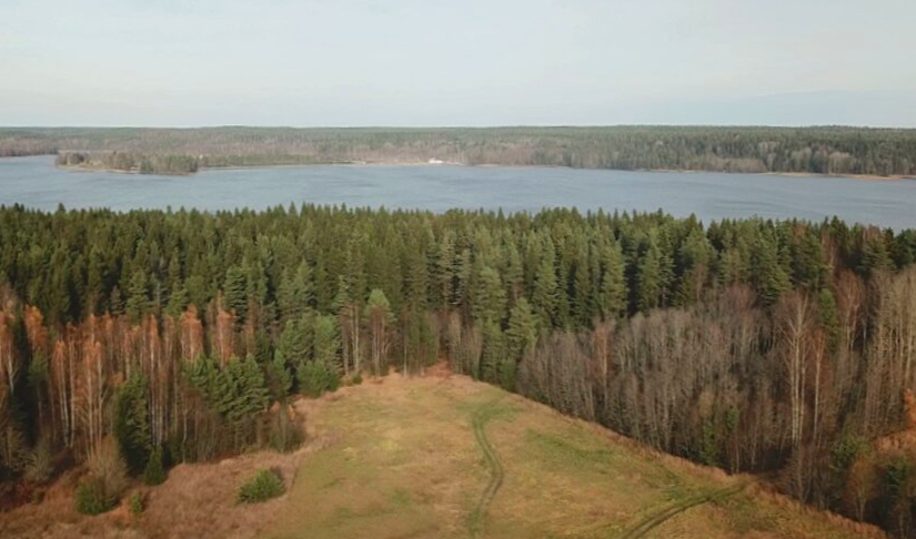 Лес & озеро