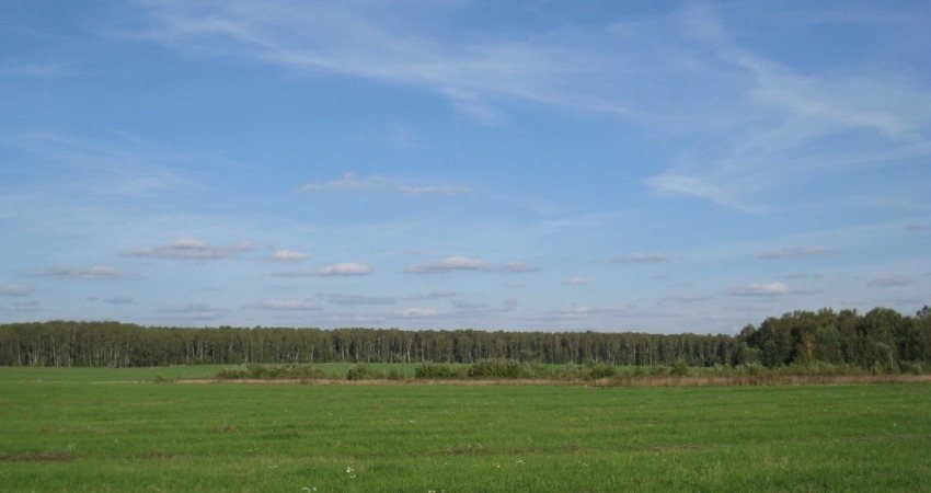 Поселок Изумрудный остров