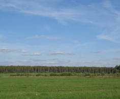 Поселок Изумрудный остров