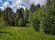 КП Forest Spring (Лесной Родник)