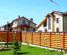 Мишкин лес