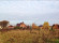 Новоселье