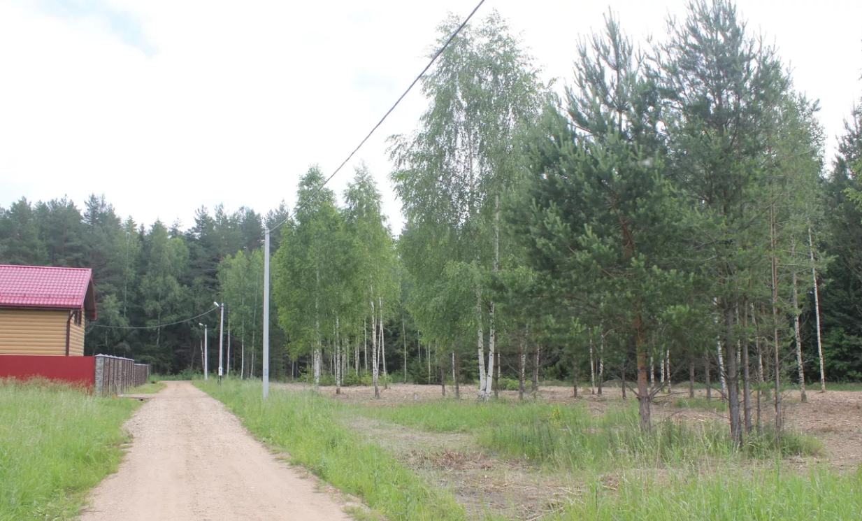 Дубровский лес