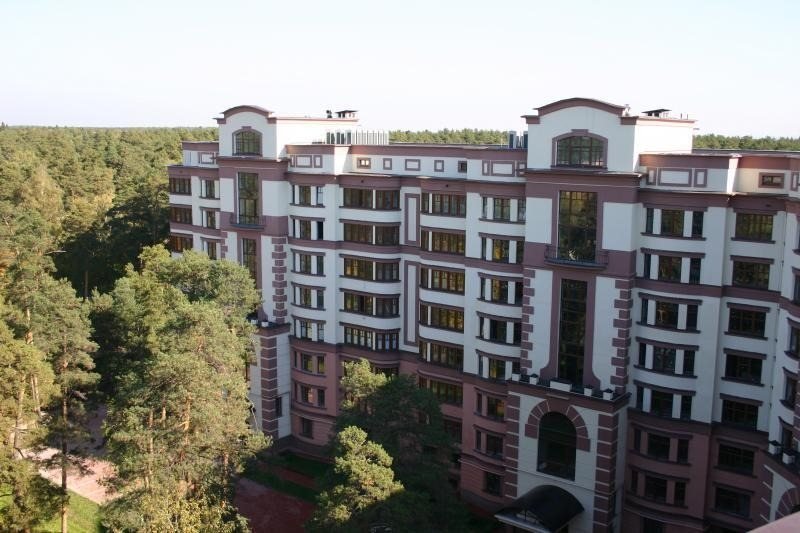 Сосны Николина гора