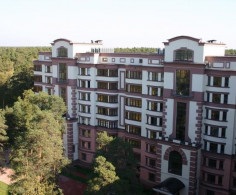 Сосны Николина гора