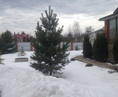 Дом, 16 соток
