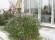 Дом, 12 соток