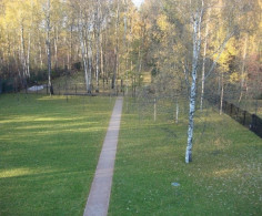 Дом, 50 соток