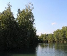 Участок, 400 соток