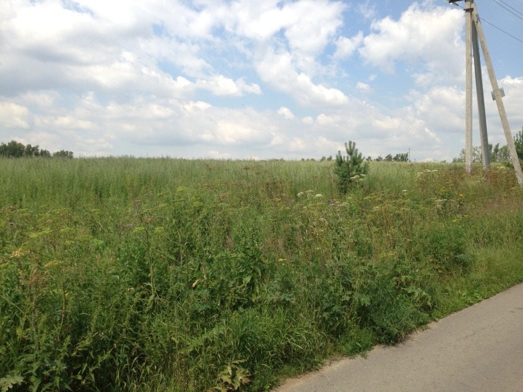 Участок, 59 соток