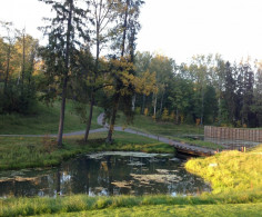 Участок, 24 сотки