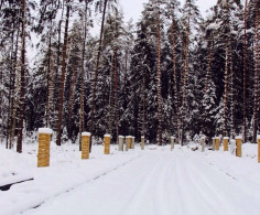 Участок, 25 соток