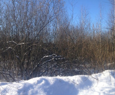 Участок, 18 соток
