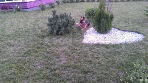 Дом, 2 этажа, 3 комнаты