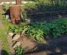 Дом, 1 этаж, 3 комнаты