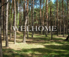 Участок, 50 соток