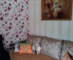 Дом, 1 этаж, 3 комнаты