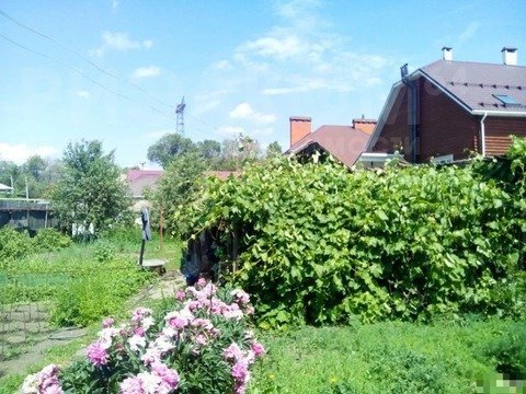 Дом, 3 комнаты, 6 соток