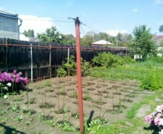 Дом, 3 комнаты, 6 соток