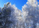 Участок, 30 соток