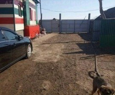 Дом, 1 этаж, 3 комнаты