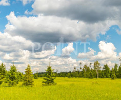 Участок, 34 сотки