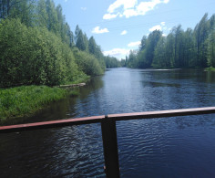 Участок, 12 соток