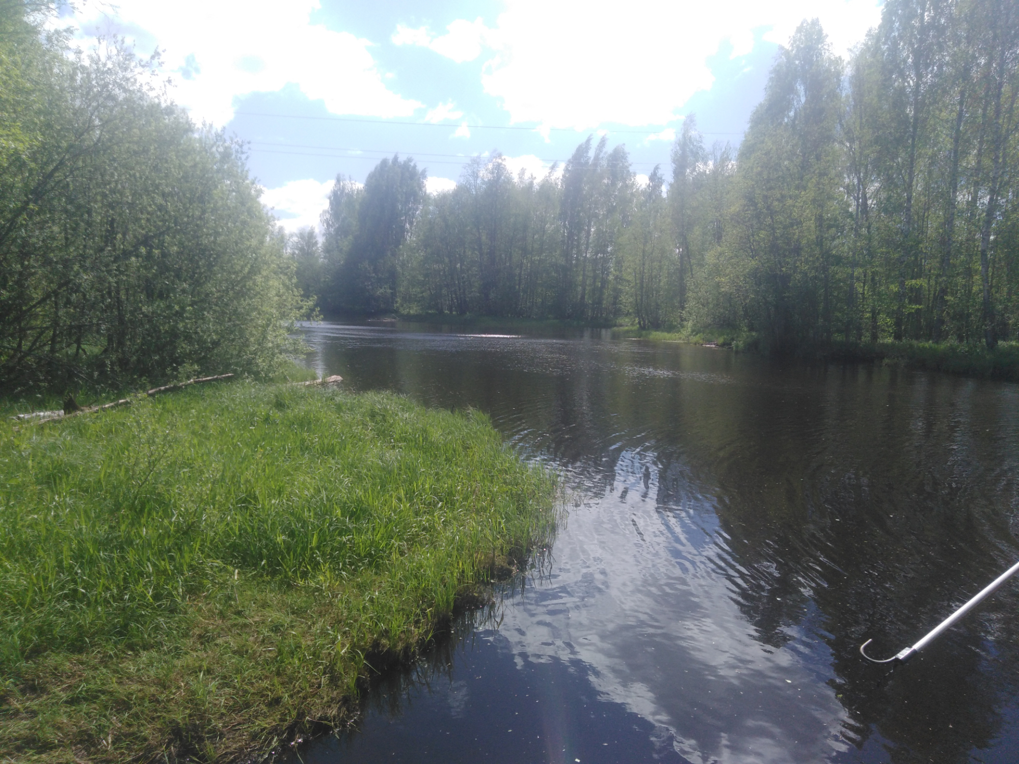 Участок, 12 соток
