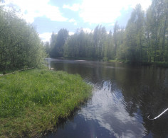 Участок, 12 соток