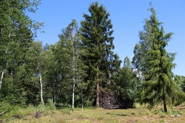 Участок, 10 соток