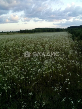 Участок, 36 соток