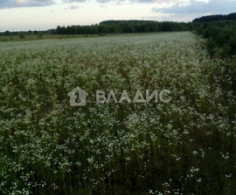 Участок, 36 соток