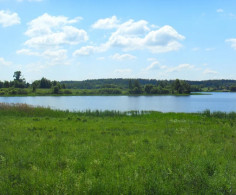 Участок, 40 соток