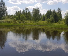 Участок, 5725 соток