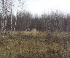 Участок, 254 сотки