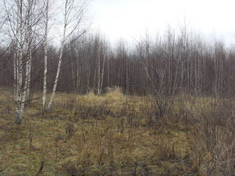 Участок, 254 сотки