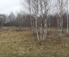 Участок, 254 сотки