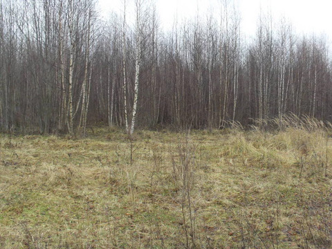 Участок, 254 сотки