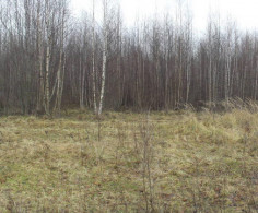 Участок, 254 сотки