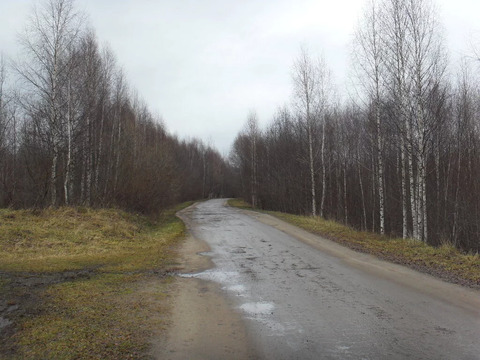 Участок, 254 сотки