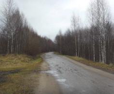 Участок, 254 сотки