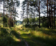 Участок, 446 соток