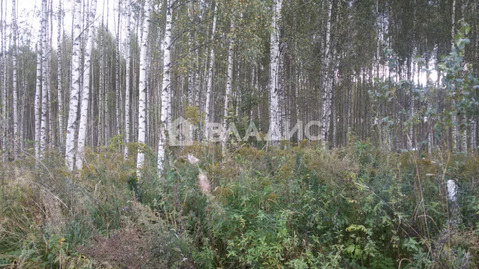 Участок, 11 соток