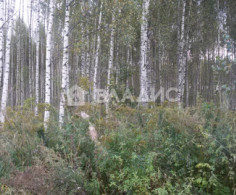 Участок, 11 соток