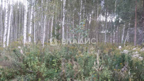 Участок, 11 соток