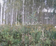 Участок, 11 соток