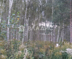 Участок, 11 соток