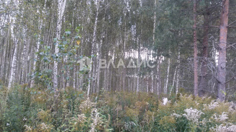 Участок, 11 соток