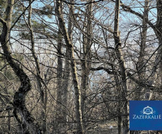 Участок, 14 соток